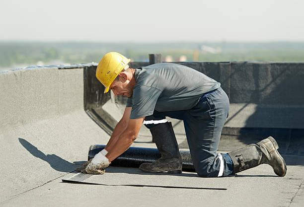 Best Attic Insulation Installation  in Orlando, FL